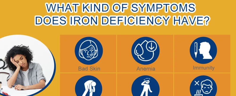 Iron Deficiency Test Kit at-Home Iron Test kit for Anemia. 2-Pack for Quick Response and Accurate Results. Suitable for Both Men and Women. 2 Count (Pack of 1) - product information 7