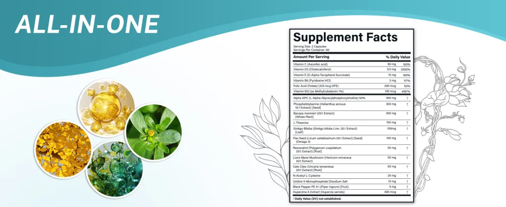 ACADEMICIAN Alpha GPC Capsule with Bacopa Monnieri Ginkgo Biloba Capsules Huperzine-a Supplement - 120 Count - product information 8