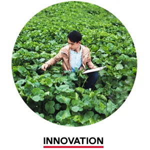 GNC Probiotic Complex Daily Need Supplement Provides Digestive and Immune Support 1 Billion CFUs 100 Vegetarian Capsules 100 Servings 100 Count (Pack of 1) - Man in a field inspecting plants with clipboard in hand. Innovation.