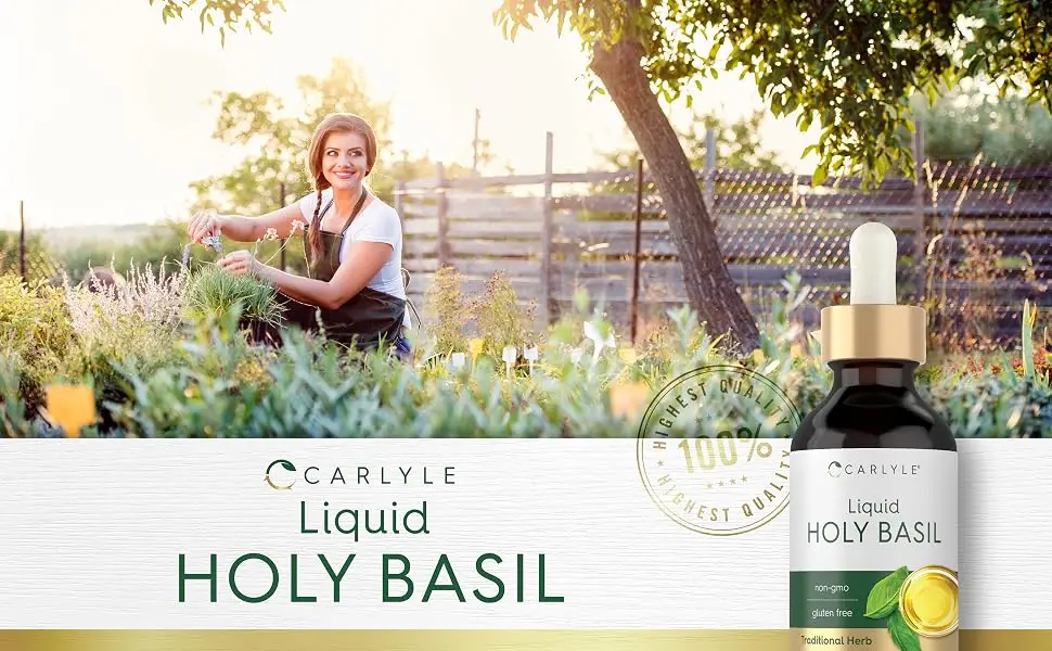 Carlyle Holy Basil Tincture | 2 Fl Oz | Liquid Extract Supplement | Tulsi Leaf | Vegetarian Drops | Non-GMO Gluten Free - holy basil