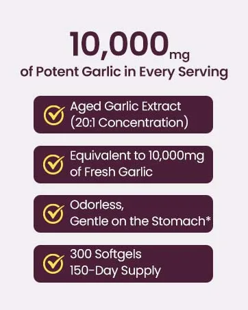 VerdiGusto 10000mg Aged Garlic Extract | 300 Softgels | Odorless Garlic Supplements | Antioxidant Support & Cognitive Function | Pure Allium Sativum 20:1 Extract | Non-GMO Gluten-Free - aged garlic extract