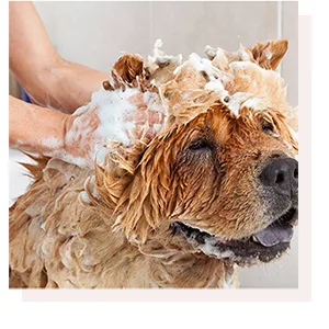 UNITE Hair MAXCONTROL Spray - Strong Hold  10 Oz - Dog Image