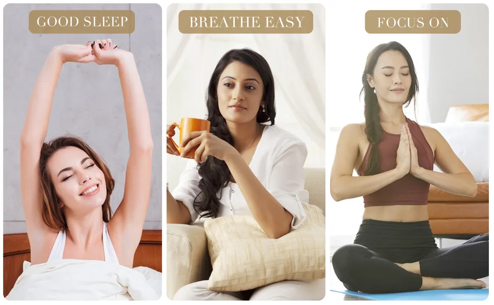 Pre-Diluted Aromatherapy Essential Oils Blend Natural Plant Essential Oils Refill for Roll-on (Sleep 1) Sleep 1 Fl Oz (Pack of 1) - Aromatherapy essential oil blend good dream, breathe easy, focus on stress