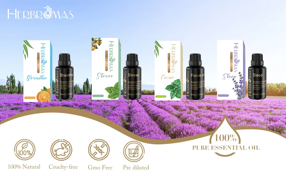 Pre-Diluted Aromatherapy Essential Oils Blend Natural Plant Essential Oils Refill for Roll-on (Sleep 1) Sleep 1 Fl Oz (Pack of 1) - Herbromas essential oil aromatherapy blend set