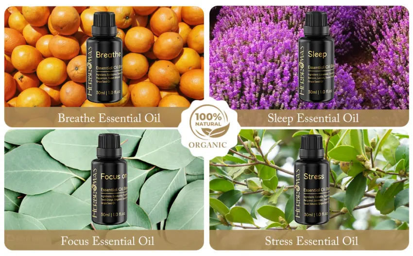 Pre-Diluted Aromatherapy Essential Oils Blend Natural Plant Essential Oils Refill for Roll-on (Sleep 1) Sleep 1 Fl Oz (Pack of 1) - Natural essential oil blend