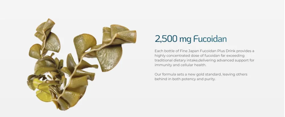 FINE JAPAN Fucoidan Plus Drink Premium Brown Seaweed Supplement with Seaweed Extract Agaricus Mushroom & Coix Seed 10 Bottles (50ml Each) - liquid fucoidan 2.2