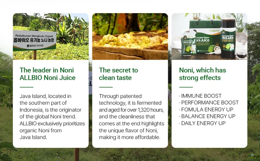 Java Organic NONI Juice Extract - 1 fl oz x 30 Daily Pack - 100% Fermented by ALLBIO - noni6