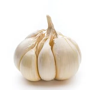 Ion Supplements | Herbal Organic Whole Bulb Garlic Capsules | 500 mg per Cap 180 Caps | No Fillers or Flow Agents | 100% Natural Roots - GarlicStock