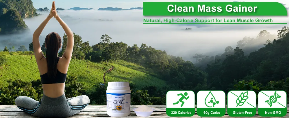 FARWIX Clean Calorie Gainer for Lean Weight Support Light & Easy-to-Drink Protein+Carb Blend 320 Calories per Serving Whey Egg&Pea Protein Vanilla Creme 16 oz - Natural, High-Calorie Support for Lean Muscle Growth