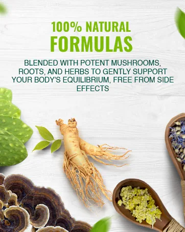 ADAPTOHEAL Hormobalance + Energyheal Adaptogen Blend (180 Capsules ea.) - Adaptoheal
