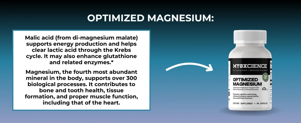 MYOXCIENCE Optimized Magnesium Glycinate + Magnesium Taurate (as ATAmag ) for High Brain Bioavailability to Support Stress Relief and Sleep | 30 Servings 90 Count (Pack of 1) - Optimized Magnesium (90 Capsules)
