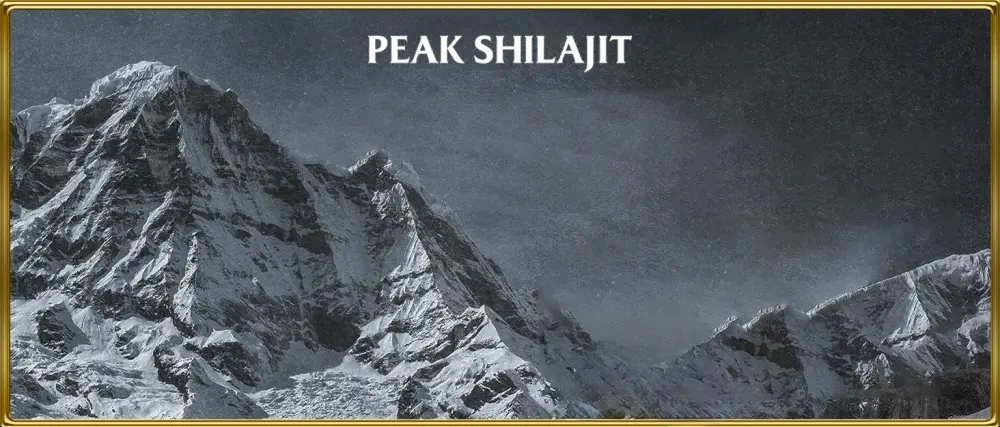 PEAKSHILAJIT Gummy Platinum Daily Wellness Support 60 Gummies - Back1