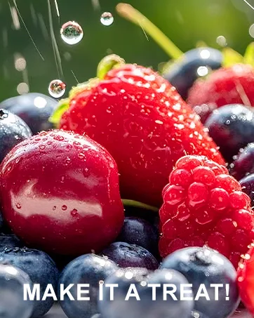 Whoyun Red Yeast Rice with Coq10 Gummies Sugar Free Red Yeast Rice Supplement - gummies chewables