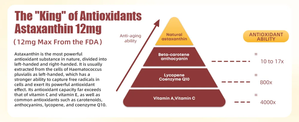 BIYODE Astaxanthin 12mg Softgels High Potency Antioxidant Supplement from Microalgae Supports Skin Health Heart Function Circulation & Immune System 90 Softgels - astaxanthin supplement