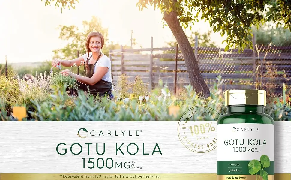 Carlyle Gotu Kola Capsules | 180 Count | Non-GMO Gluten Free | Traditional Herb Extract - Gotu