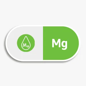 invivotec Healthear Ear Wellness & Comfort U.S. Patented Botanical Formula Supports Auditory Clarity & Everyday Balance (60 Capsules) - product information 9