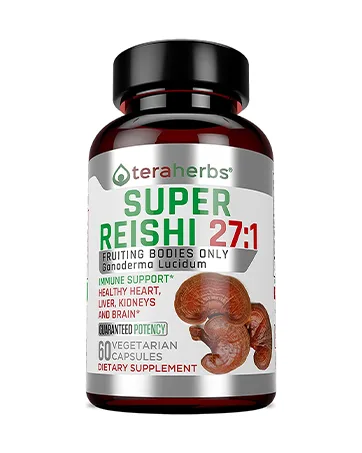 teraherbs Super Prostate 3X - Bladder Control & Support for Enlarged Prostate & Frequent Urination - Prostate Supplements for Men - 90 Capsules 1 - Organic Reishi Mushroom Extract by Tera Herbs