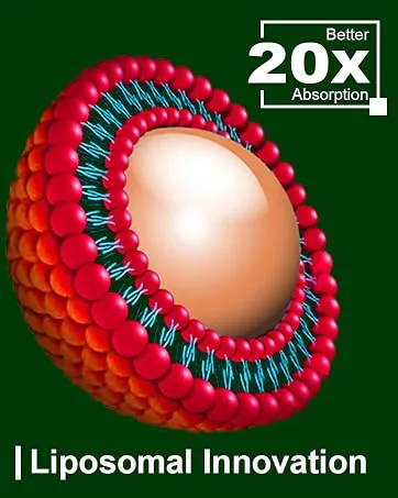 2200mg Liposomal Turmeric Curcumin Supplement with Black Pepper & Ginger Enhanced Absorption - 95% Curcumin Extract for Joint Support 60 Capsules - liposomal innovation