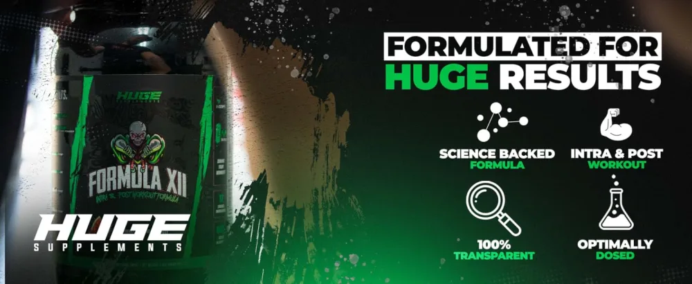 Formula XII Intra Workout Carbs & Post Workout Recovery Powder, Rapidly Absorbed, Boost Exercise Performance, Strength, Endurance & Hydration, 12 Science-Backed Ingredients (Strawberry Watermelon) - Muscle Recovery