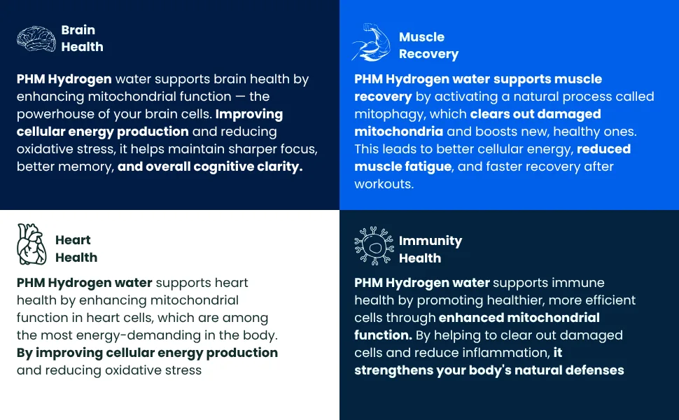 PHM Hydrogen Water Tablets for Drinking Water - H2 Molecular Tabs | Magnesium Pills Electrolytes Hydration Supplement to Support Healthy Aging & Energy Boost | 90 Tablets 3 Months Supply - hydrogen WATER TABLETS