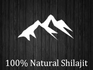 Planet Ayurveda Himalayan Shilajit 30 GM Pack of 2 - Natural