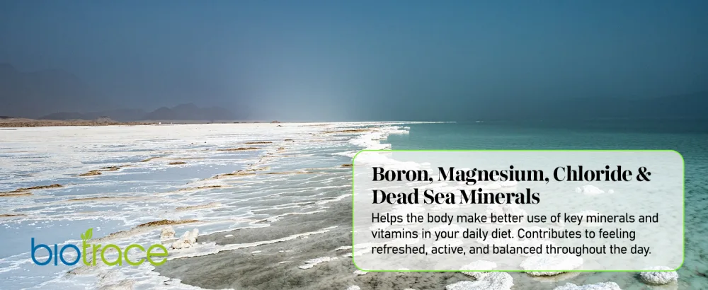 BioTrace Elemental Boron Mineral Drops Boron 3mg with Magnesium & Chloride Supports Bone Strength Brain Function & Hormonal Balance Ionic Liquid Minerals 60 Servings (60 mL) - Boron Magnesium, Chloride &amp;amp; Dead Sea Minerals