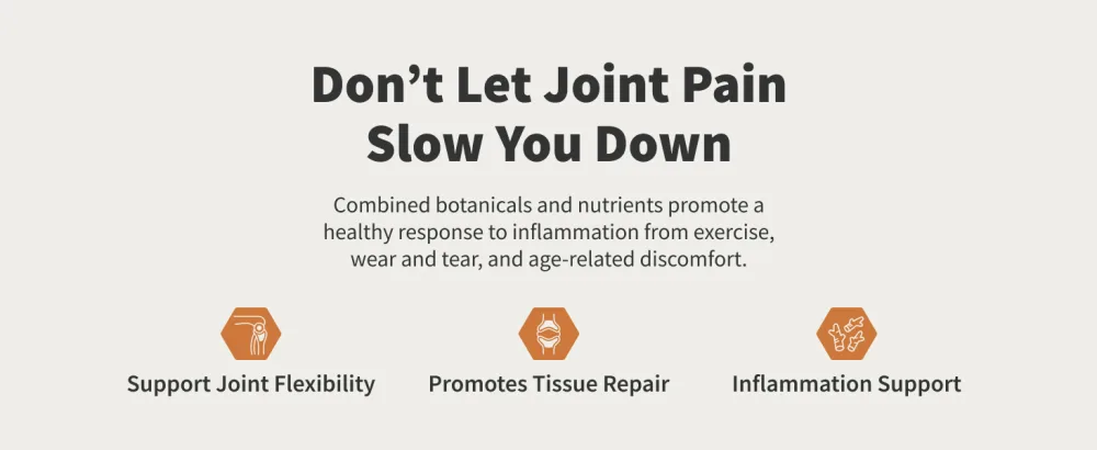 Snap Supplements Joint Health Support Supplement, Plant Based Glucosamine & MSM Supplement, Joint Supplement to Support Movement, Flexibility and Strength, Joint Support Supplement, 90 Capsules - image
