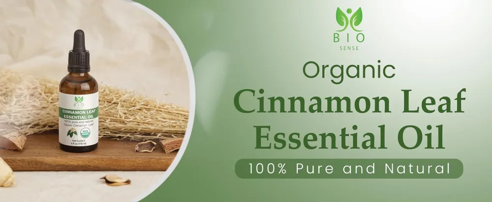 Bio Sense Cinnamon Leaf Essential Oil | 118 ml | 100% Pure & Organic Cinnamon Leaf Essential Oil | Use for Diffuser and Household| 4 fl oz. - essential oil
