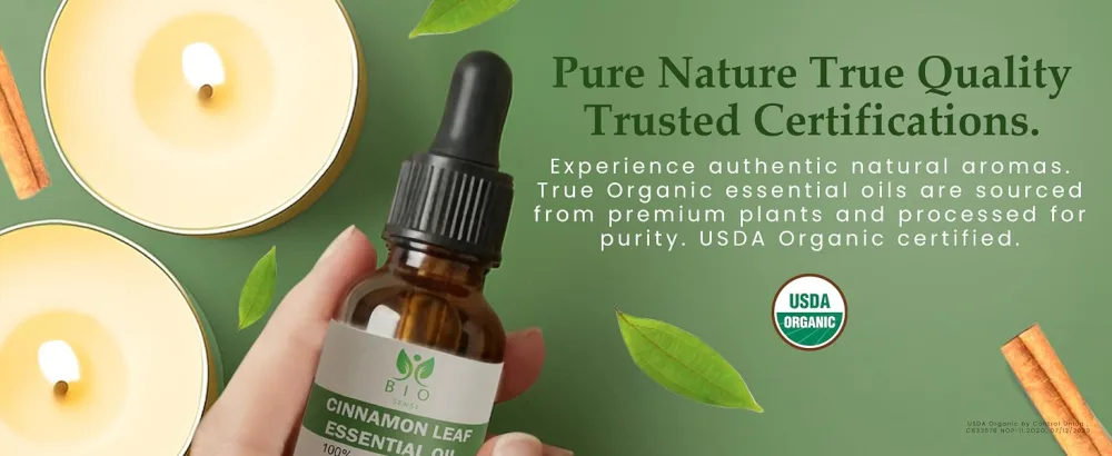 Bio Sense Cinnamon Leaf Essential Oil | 118 ml | 100% Pure & Organic Cinnamon Leaf Essential Oil | Use for Diffuser and Household| 4 fl oz. - essential oil