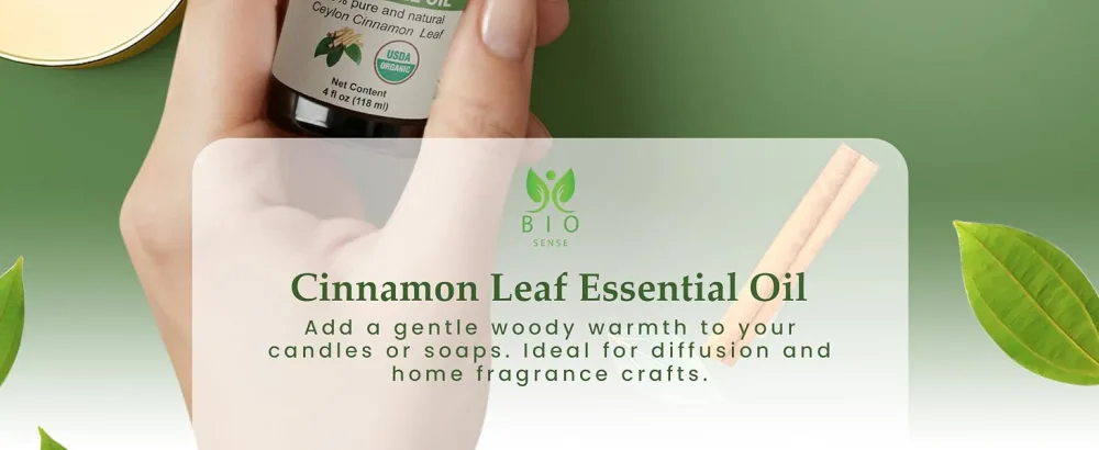 Bio Sense Cinnamon Leaf Essential Oil | 118 ml | 100% Pure & Organic Cinnamon Leaf Essential Oil | Use for Diffuser and Household| 4 fl oz. - essential oil