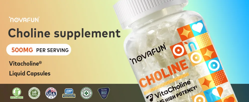Novafun Choline Supplements 500mg, Brain Health & Cognitive Function Support, Vegan, Non-GMO, Gluten-Free, 60 Capsules (60-Day Supply) - choline