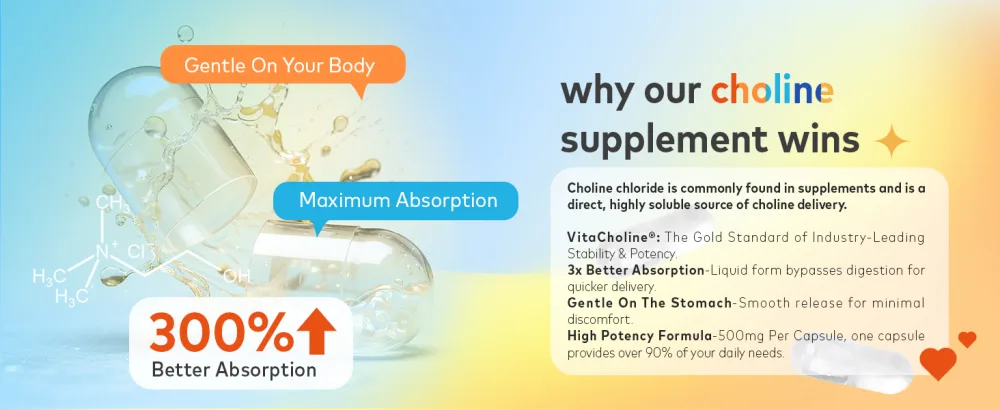 Novafun Choline Supplements 500mg, Brain Health & Cognitive Function Support, Vegan, Non-GMO, Gluten-Free, 60 Capsules (60-Day Supply) - choline chloride