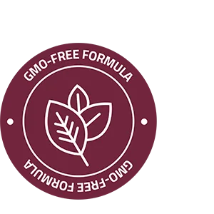 Bronson D-Mannose 500 MG Vegetarian Friendly Formula Non-GMO, 60 Capsules 60 Count (Pack of 1) - Bronson