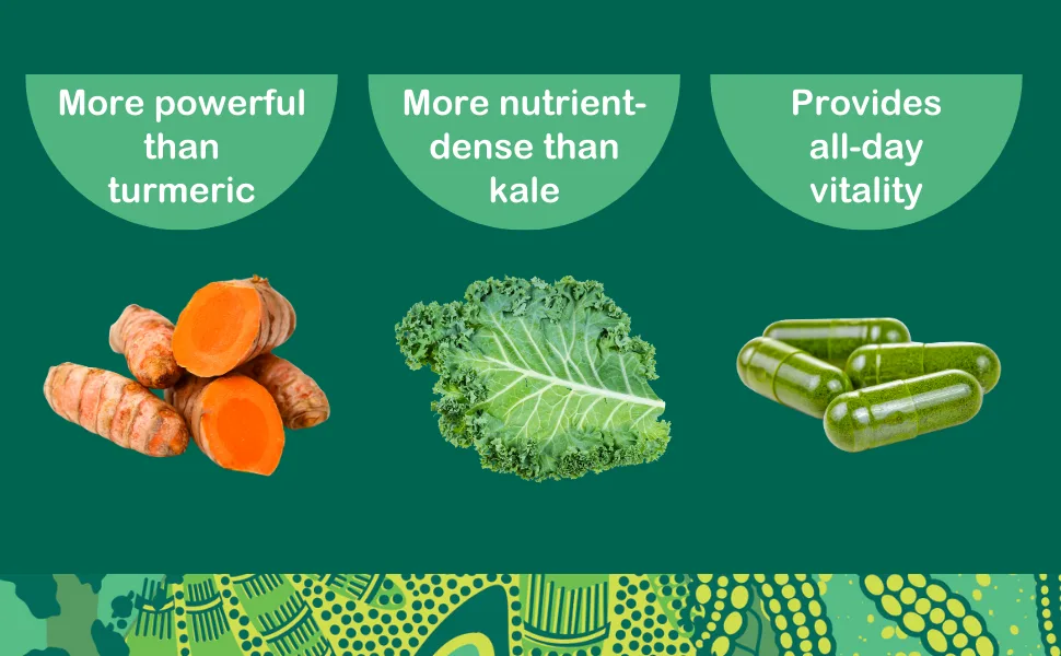 KULI KULI Organic Pure Moringa Capsules, 60 CT - Capsule 2