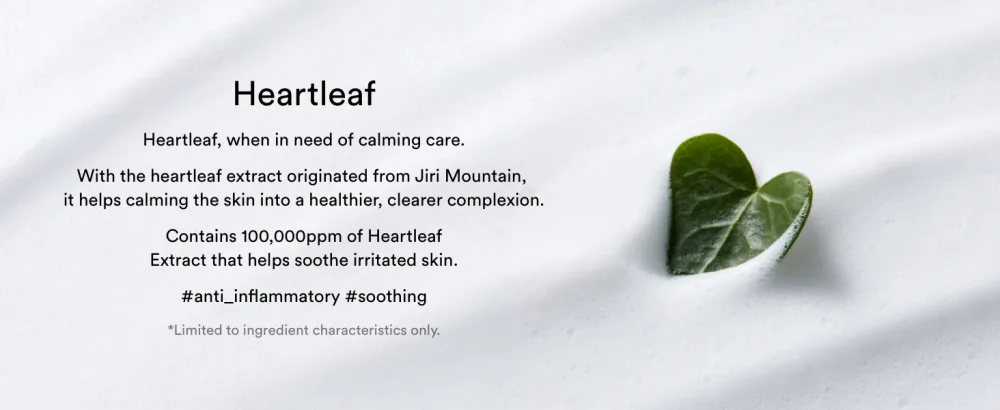 Abib Mild Foam Cleanser Heartleaf Foam 5.07 fl.oz - Heartleaf