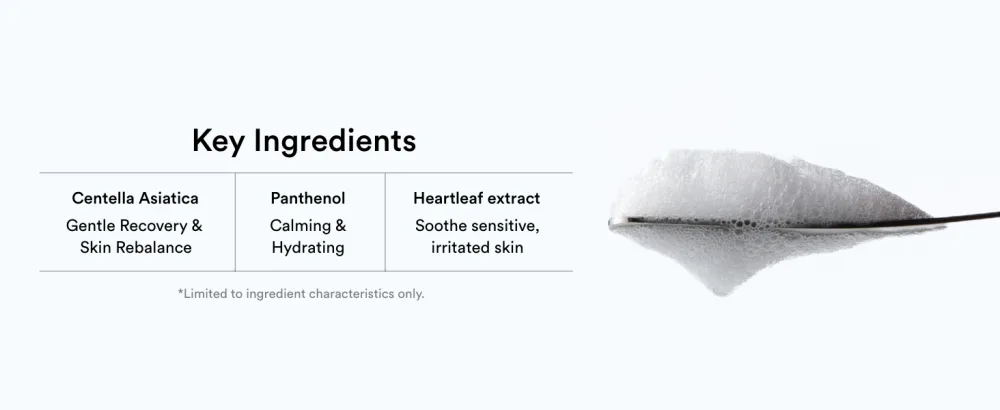 Abib Mild Foam Cleanser Heartleaf Foam 5.07 fl.oz - Key Ingredients