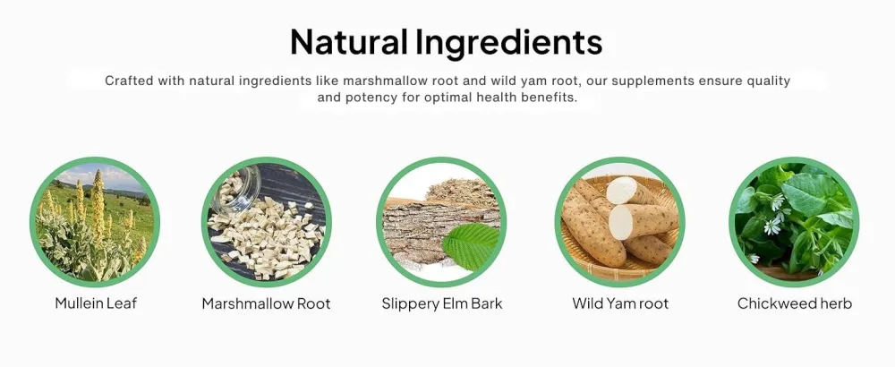 Doctor Morse's GI Daily - Gut Cleanse - Digestive Support - Intestinal, Overall Gut Support - Naturopath Formulated - Marshmallow Root, Slippery Elm Bark, Mullein Leaf - 90 Capsules - 45 Day Supply - GI DAILY