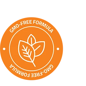 Bronson Vitamin C 1000mg Extra Strength, Supports a Healthy Immune System, High Potency, Non-GMO, 100 Vegetarian Tablets 100 Count (Pack of 1) - bronson