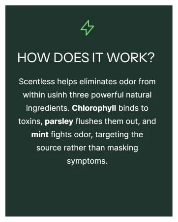 Scentless Internal Deodorant Mint, Parsley & Chlorophyll Capsules for Body Odor Aluminum-Free Body Deodorizing Supplement Odor Control Natural Deodorant Body Deodorizing Capsules 30 Count - Scentless Internal Deodorant