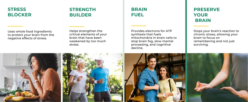 Optimal Health Systems NADH + DIM | Dr. Harris Essentials | Energy + Neurotransmitter Support | Plant-Based | Mental Clarity, Concentration, & Memory Supplement | 30 Capsules - optimal health systems