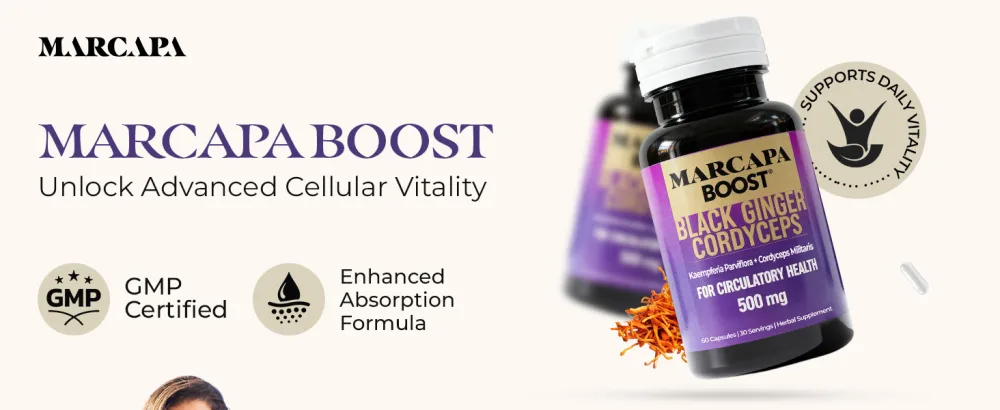 Marcapa Boost - Circulation Supplement for Endurance, Faster Recovery & Joint Flexibility - 350mg Black Ginger, 150mg Cordyceps Extract, 60 Capsules, 30-Day Supply, 3-5x Better Absorption - product information 10