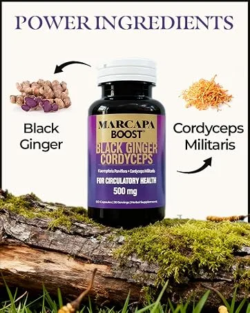 Marcapa Boost - Circulation Supplement for Endurance, Faster Recovery & Joint Flexibility - 350mg Black Ginger, 150mg Cordyceps Extract, 60 Capsules, 30-Day Supply, 3-5x Better Absorption - product information 4