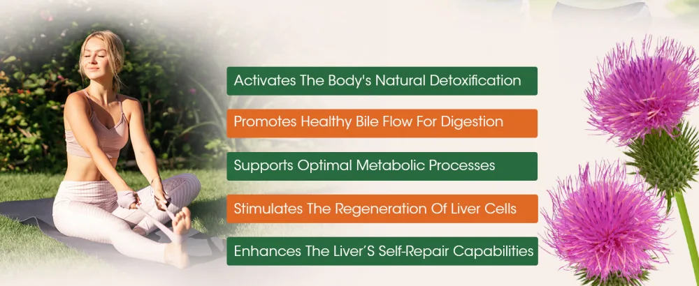 MABEFY Milk Thistle Liquid Drops 2 Pack Liver Support Supplement with 80% Silymarin, Artichoke Leaf, Dandelion Root & Glutathione Antioxidant Support Vegan, Non-GMO, 4 Fl Oz - liver support