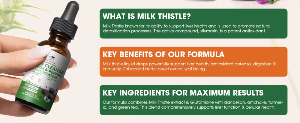 MABEFY Milk Thistle Liquid Drops 2 Pack Liver Support Supplement with 80% Silymarin, Artichoke Leaf, Dandelion Root & Glutathione Antioxidant Support Vegan, Non-GMO, 4 Fl Oz - milk thistle drops