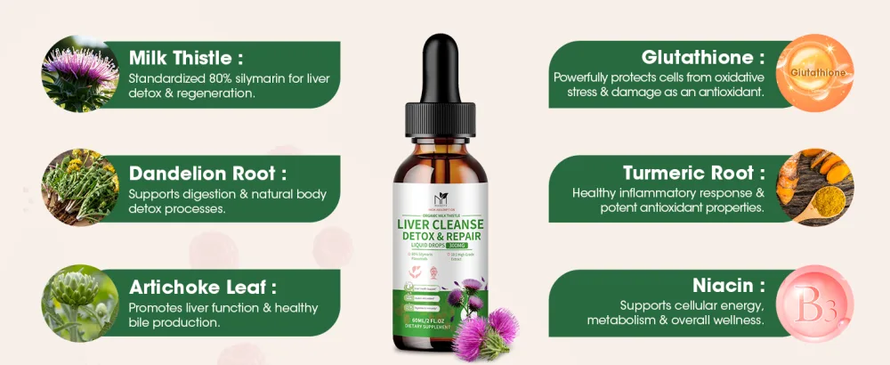 MABEFY Milk Thistle Liquid Drops 2 Pack Liver Support Supplement with 80% Silymarin, Artichoke Leaf, Dandelion Root & Glutathione Antioxidant Support Vegan, Non-GMO, 4 Fl Oz - milk thistle tincture