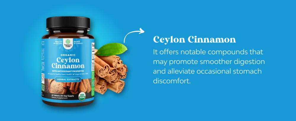 Organic Ceylon Cinnamon Extract Tablets 1000mg - Ceylon Cinnamon Organic Supplement for Immune System & Heart Health Aid - Immune Support Supplements for Adults - 60 Count - Organic Ceylon Cinnamon 60ct