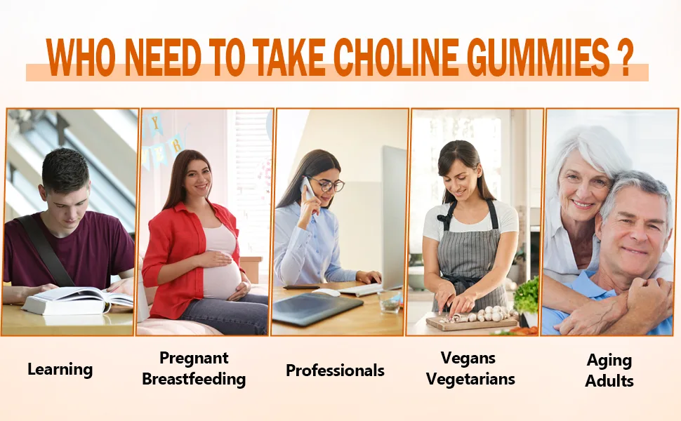 HFELIZ Choline Supplement Gummies Sugar Free, 500mg Choline Bitartrate Per Serving, Brain Health, Liver Support, Focus & Energy, 60 Gummies - choline chewables