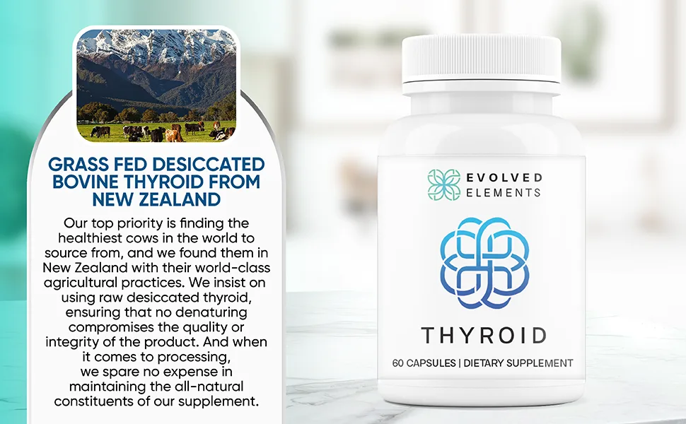Evolved Elements Thyroid Raw Grass-Fed Desiccated New Zealand Sourced - Energy & Metabolism Support Non-GMO, 60 Capsules - Bovine thyroid from new zealand