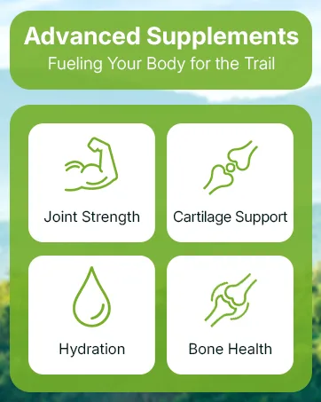 Advanced Joint Support Supplement Glucosamine, MSM, Turmeric (95% Curcuminoids) & Boswellia Serrata Double The Inflammation-Supporting Ingredients for Healthy, Flexible Joints. 30-Day Supply - Glucosamine MSM Turmeric supplement for joint pain relief and mobility support.