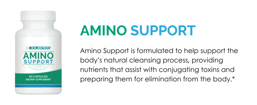 Rootcology by Dr. Izabella Wentz | Amino Support | Amino Acid Complex Capsules with L-Glutamine, Glycine & MSM | 90 Capsules - Amino Support